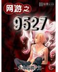 ����֮9527